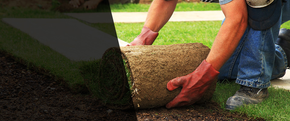 Madison Heights Landscapers